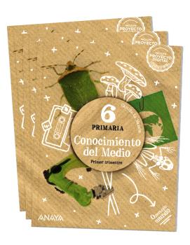 CONOCIMIENTO DEL MEDIO 6