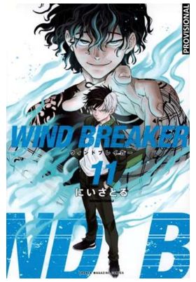 WIND BREAKER 11
