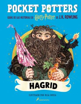 POCKET POTTERS 6 - HAGRID