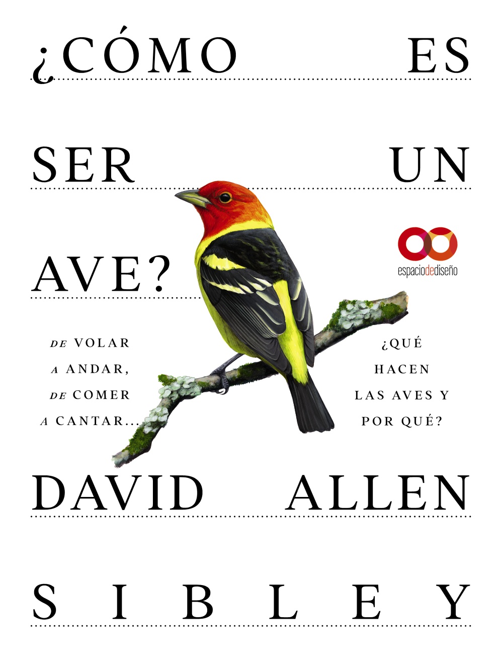 CÓMO ES SER UN AVE?