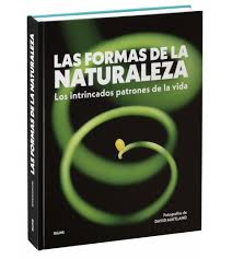 FORMAS DE LA NATURALEZA, LAS