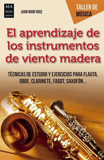 APRENDIZAJE DE LOS INSTRUMENTOS DE VIENTO MADERA, EL