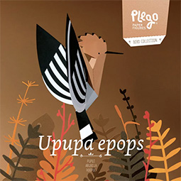 Upupa Epops