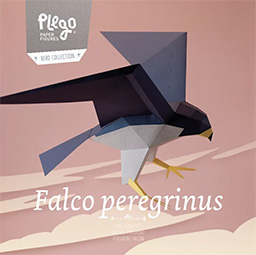 Falco Peregrinus