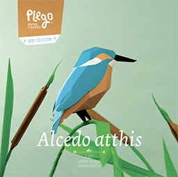 Alcedo Atthis