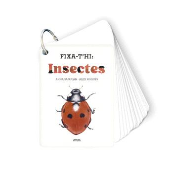 FIXA-T'HI: Insectes