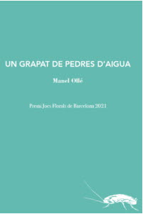 Un grapat de pedres d'aigua