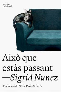 AIXÒ QUE ESTÀS PASSANT