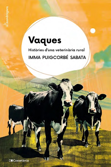 VAQUES