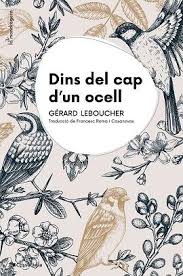 DINS DEL CAP D'UN OCELL