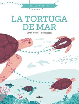 TORTUGA DE MAR  cat