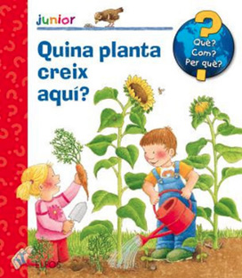 Quina planta creix aquí?