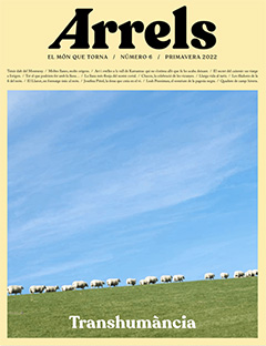 ARRELS  n. 6