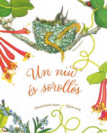 UN NIU ES SOROLLÓS