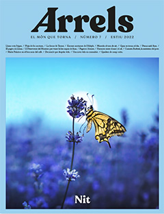 ARRELS  n. 7