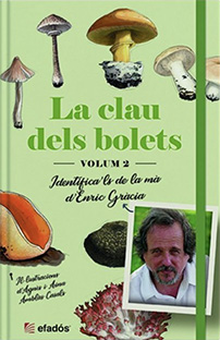 LA CLAU DELS BOLETS  vol. 2