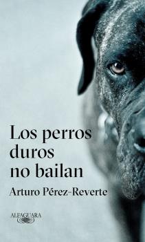 NUEVA NOVELA PR
