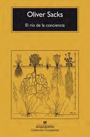 EL RÍO DE LA CONCIENCIA  but