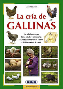 LA CRÍA DE GALLINAS