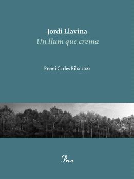 Un llum que crema
