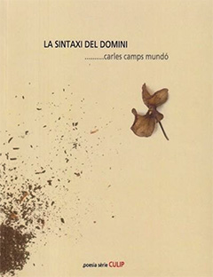La sintaxi del domini