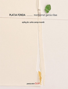 Platja Fonda
