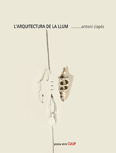 L'arquitectura de la llum