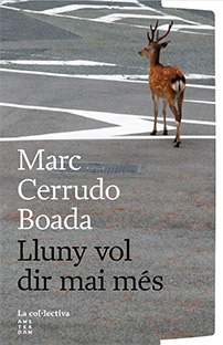 LLUNY VOL DIR MAI MÉS