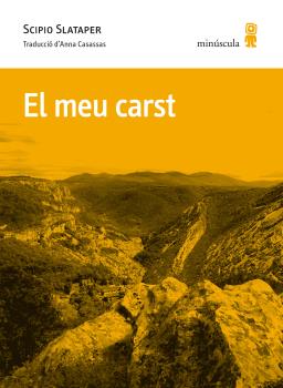 EL MEU CARST