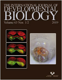 BIOLOGY VOLUME 63 Nº 1/2 THE INTERNATIONAL JORUNAL OF DEVELOPMENTAL