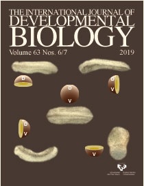 BIOLOGY VOLUME 63 Nº 6/7 THE INTERNATIONAL JOURNAL OF DEVOLOPMENTAL