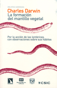 LA FORMACIÓN DEL MANTILLO VEGETAL