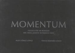 MOMENTUM COLECCIÓN DE BONSAIS