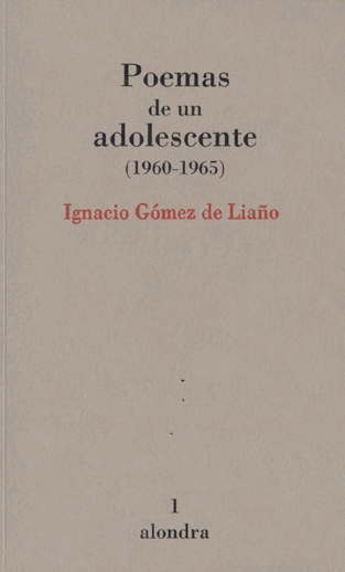 POEMAS DE UN ADOLESCENTE (1960-1965)