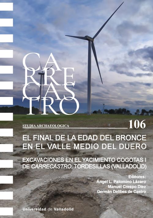 EL FINAL DE LA EDAD DEL BRONCE EN EL VALLE MEDIO DEL DUERO