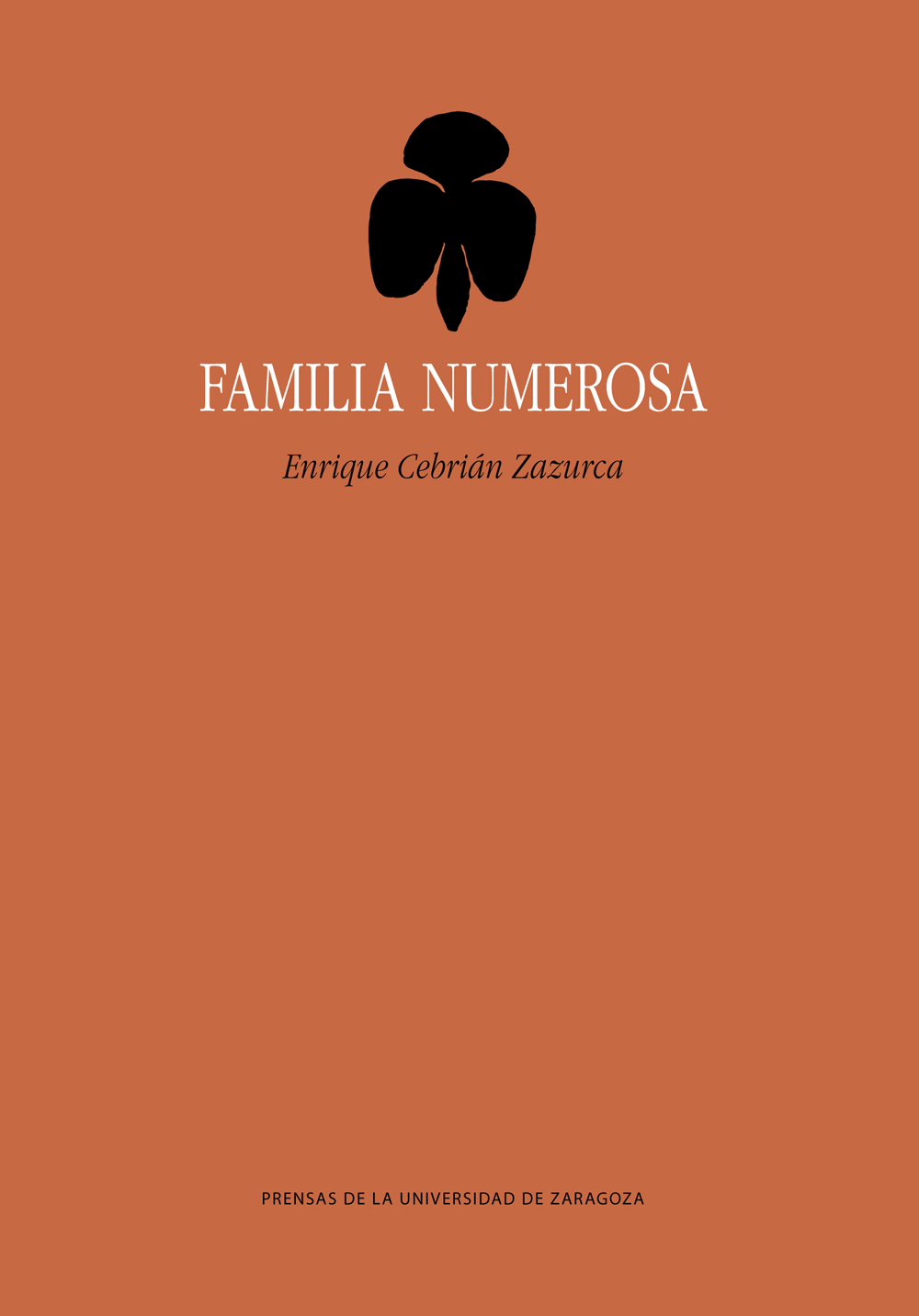 FAMILIA NUMEROSA