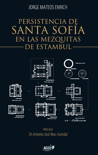 PERSISTENCIA DE SANTA SOFIA EN LAS MEZQUITAS DE ESTAMBUL