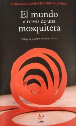 EL MUNDO A TRAVÉS DE UNA MOSQUITERA