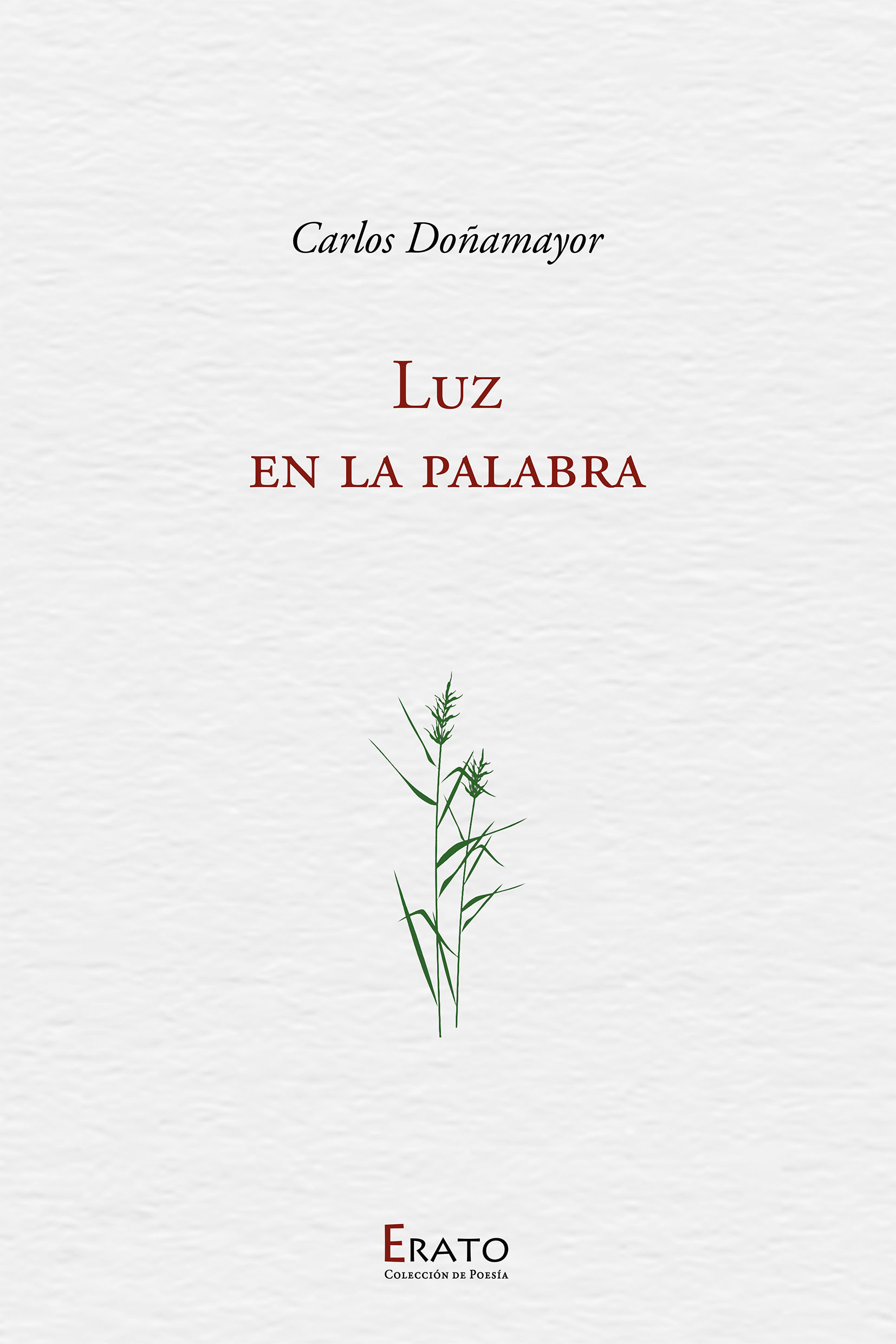 LUZ EN LA PALABRA