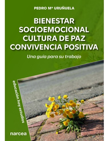 BIENESTAR SOCIOEMOCIONAL CULTURA DE PAZ CONVIVENCIA POSITIVA