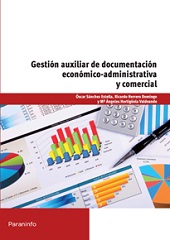 GESTION AUXILIAR DE DOCUMENTACION ECONOMICO