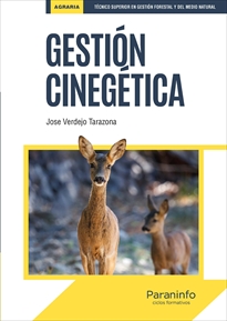 GESTIÓN CINECÉTICA