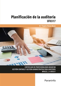 PLANIFICACIÓN DE LA AUDITORÍA UF0317