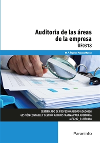 AUDITORÍA DE LAS ÁREAS DE LA EMPRESA UF0318