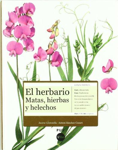 EL HERBARIO, MATAS, HIERBAS Y HELECHOS