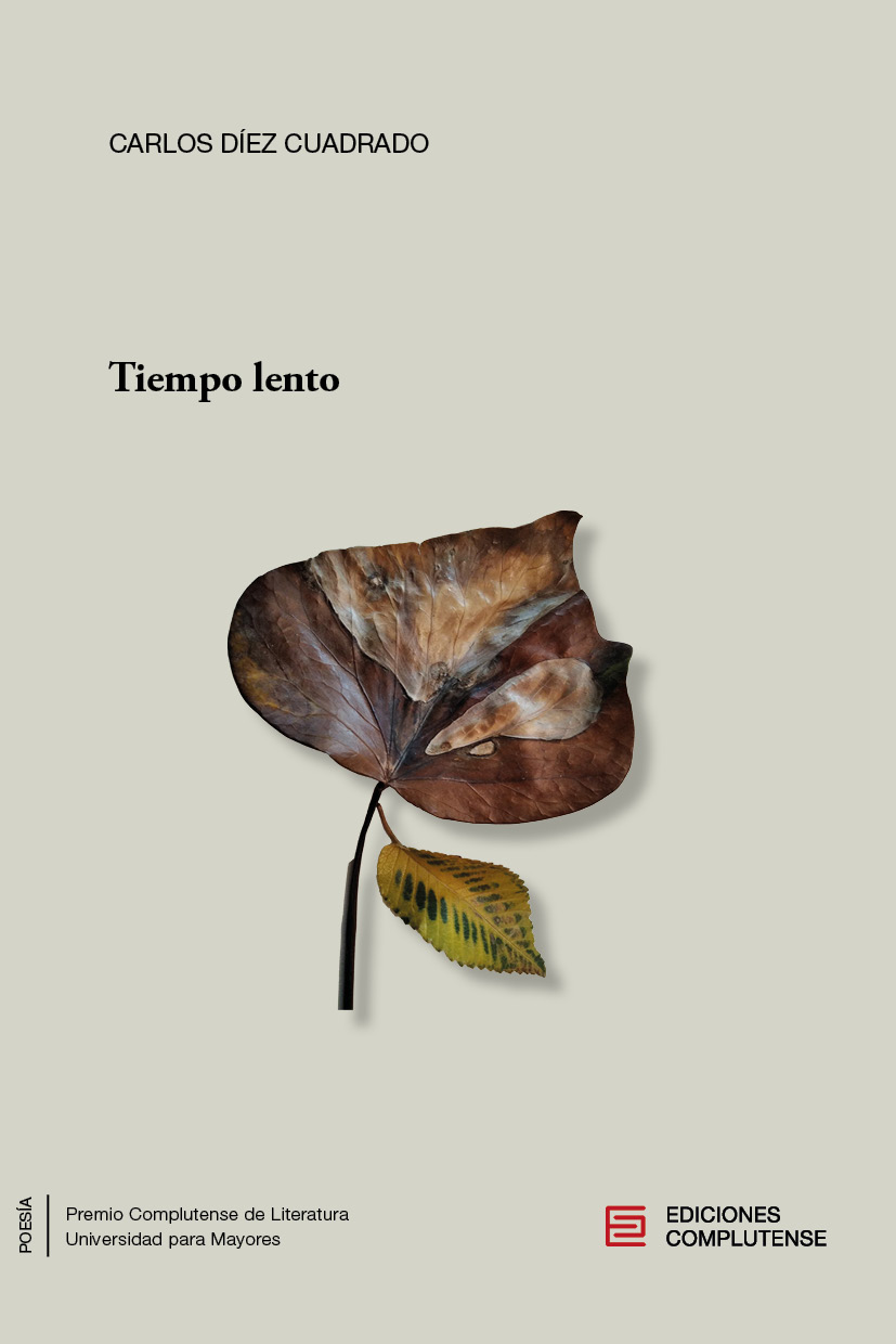 TIEMPO LENTO