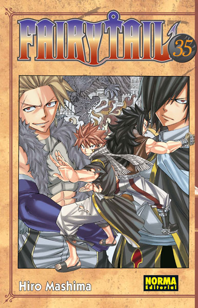 FAIRY TAIL 35