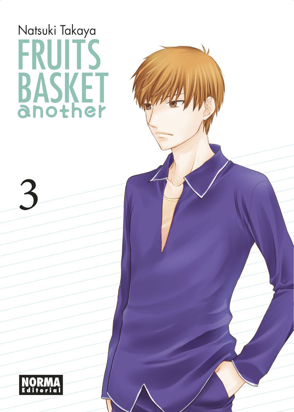 FRUITS BASKET  ANOTHER 03