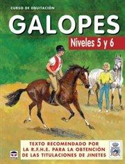 GALOPES NIVELES DEL 5 Y 6 CURSO DE EQUITACIÓN