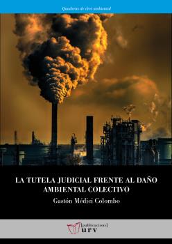 LA TUTELA JUDICIAL FRENTE AL DAÑO AMBIENTAL COLECTIVO